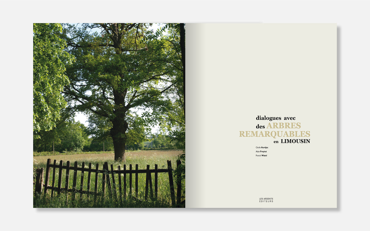 Dialogues avec des arbres remarquables en Limousin
