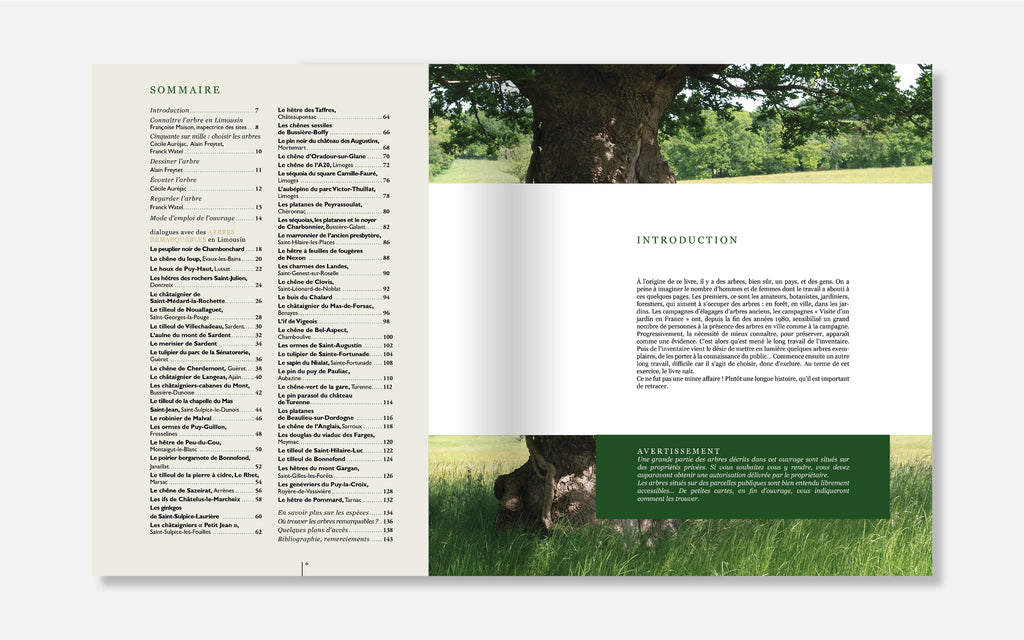 Dialogues avec des arbres remarquables en Limousin