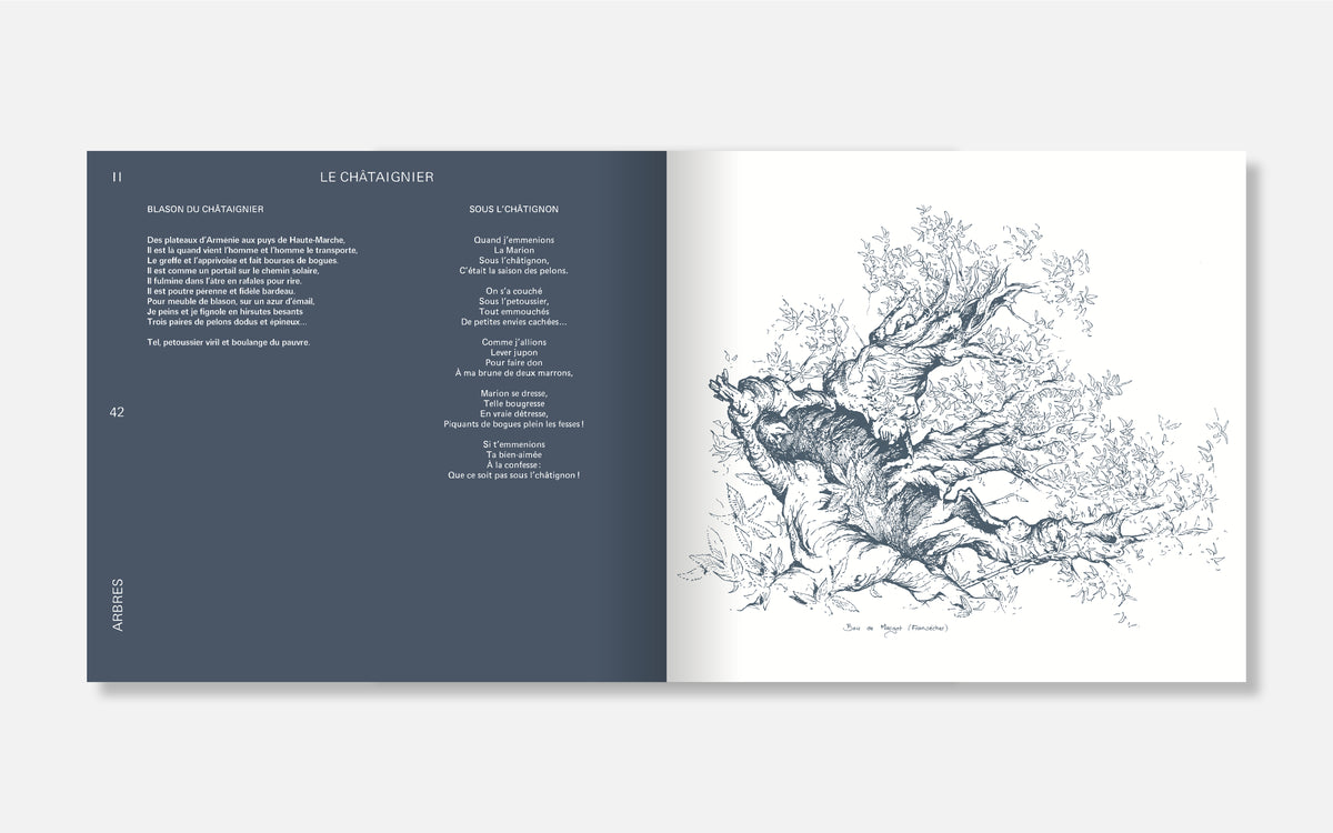 Chroniques de Creuse