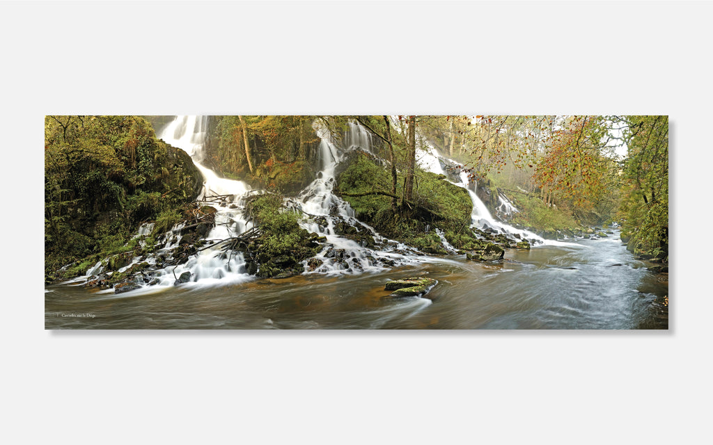 La Haute-Corrèze une belle inconnue - De paysages en patrimoine